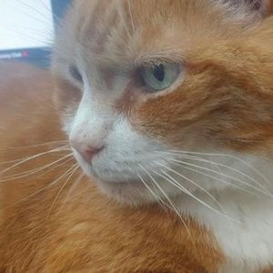 Meet your Posher, Rorey